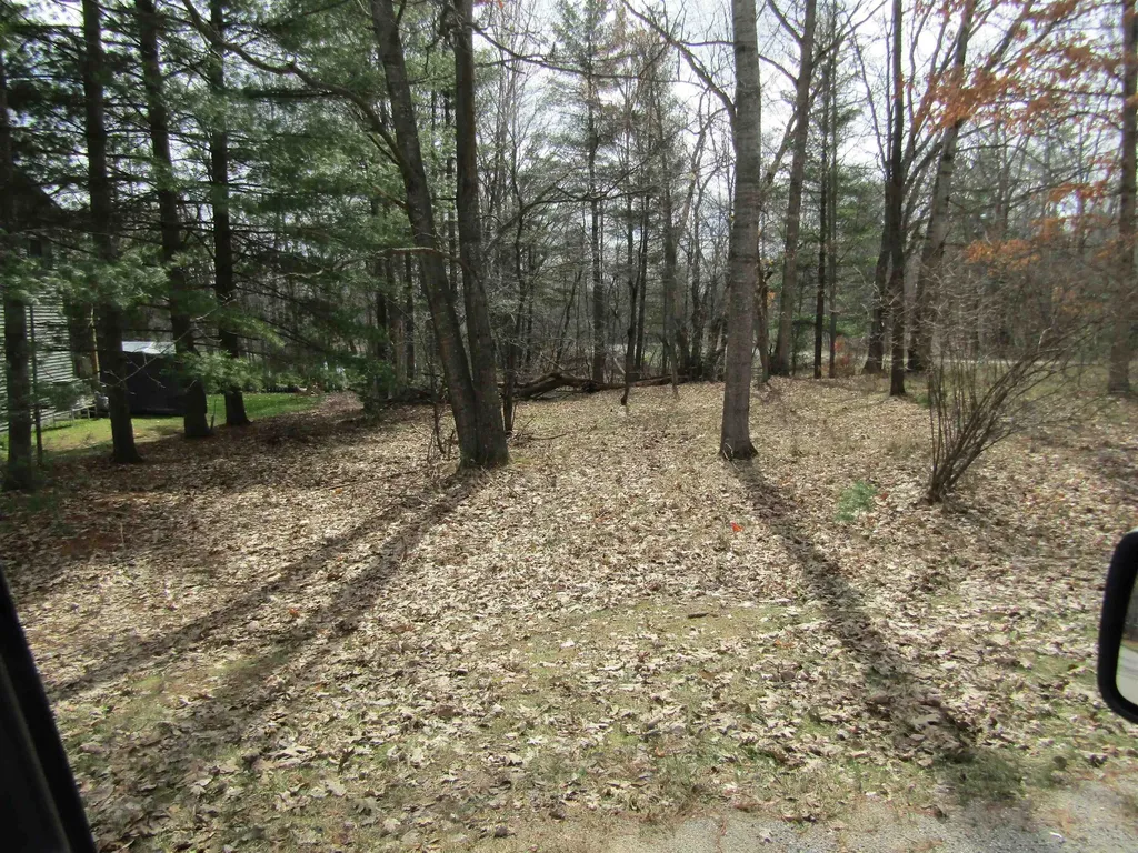 VL_173 E Caribou Trail Churchill Township MI 48661