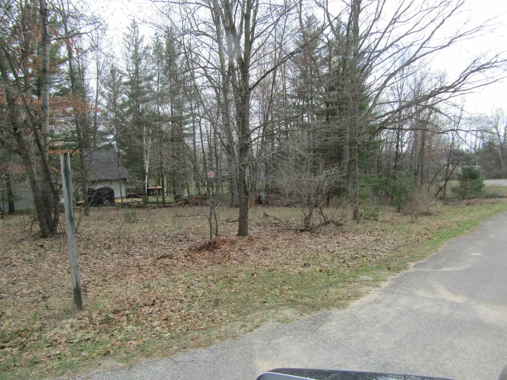 VL_173 E Caribou Trail Churchill Township MI 48661