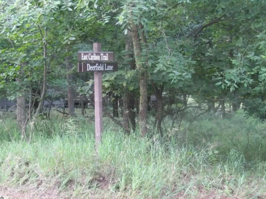 VL_173 E Caribou Trail Churchill Township MI 48661