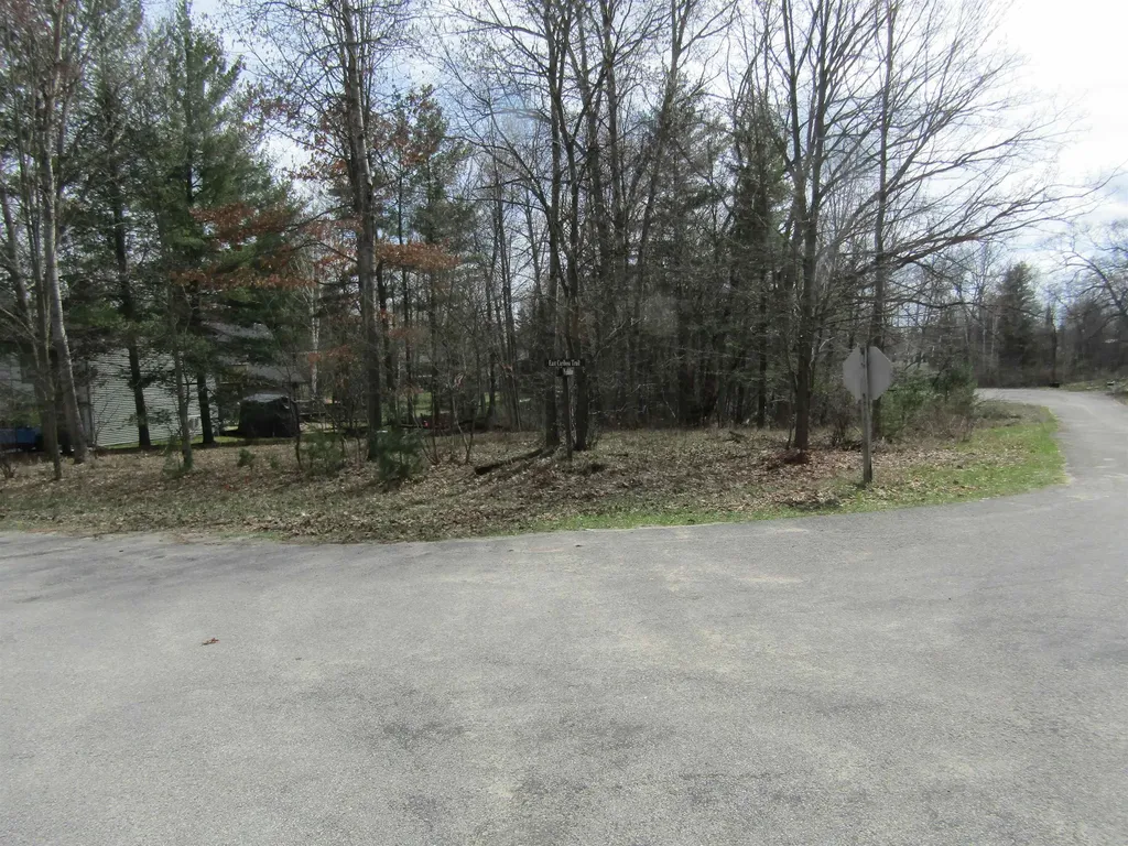 VL_173 E Caribou Trail Churchill Township MI 48661