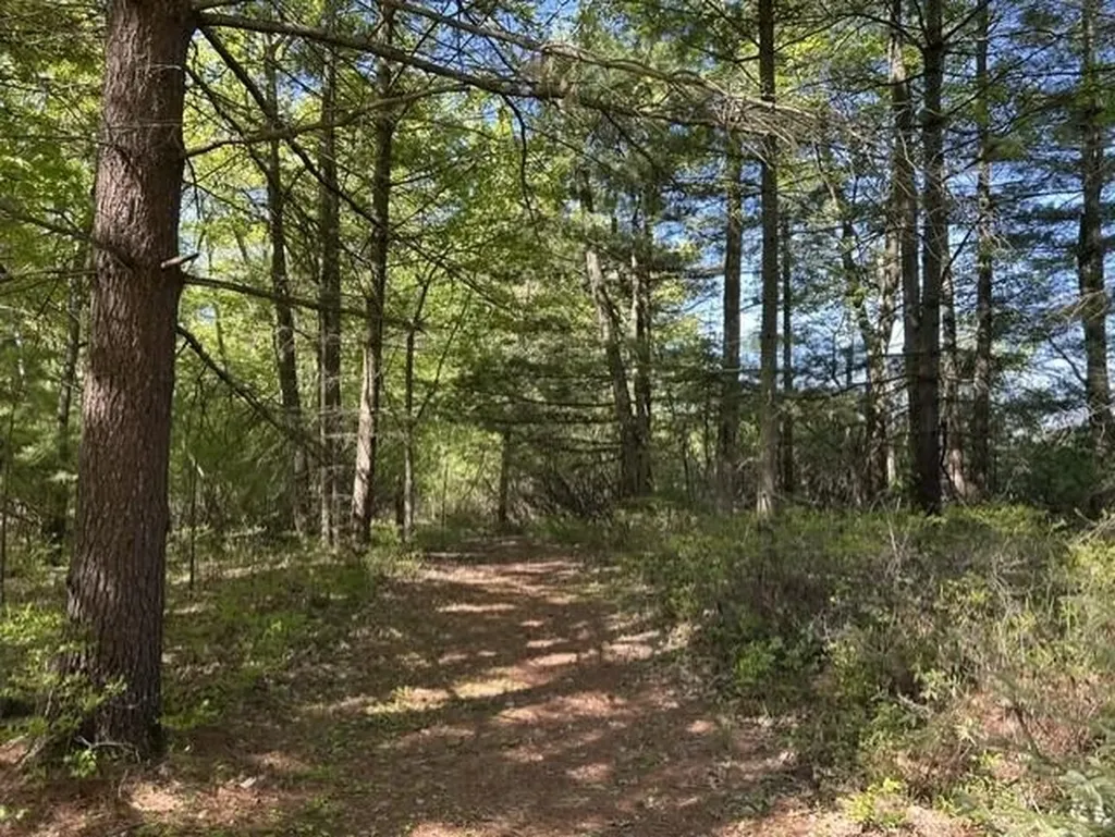 22 S Baldwin Resort Road Baldwin Township MI 48730