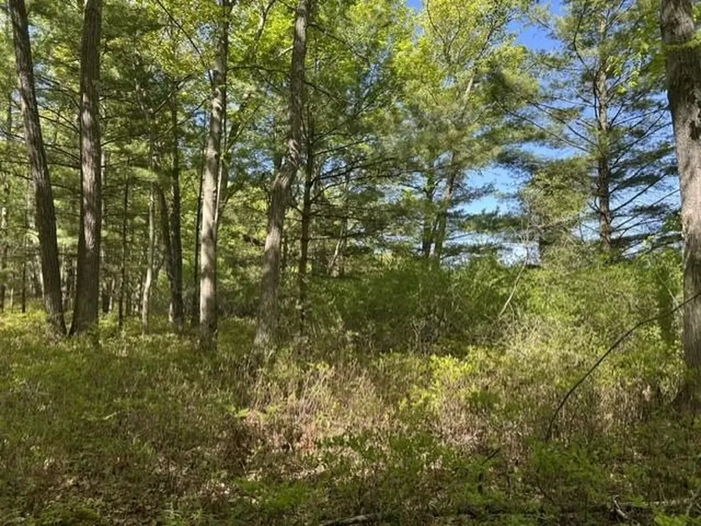 22 S Baldwin Resort Road Baldwin Township MI 48730