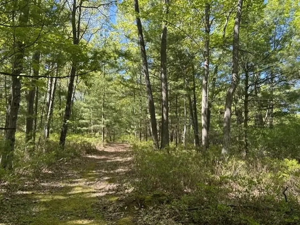 22 S Baldwin Resort Road Baldwin Township MI 48730