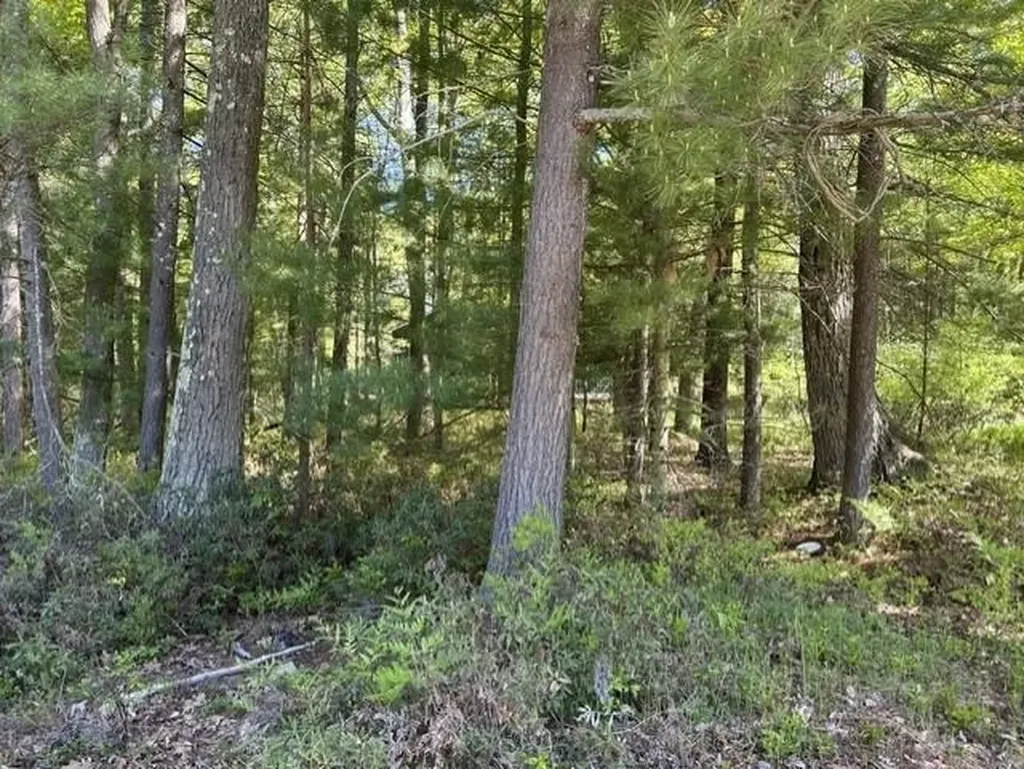 22 S Baldwin Resort Road Baldwin Township MI 48730