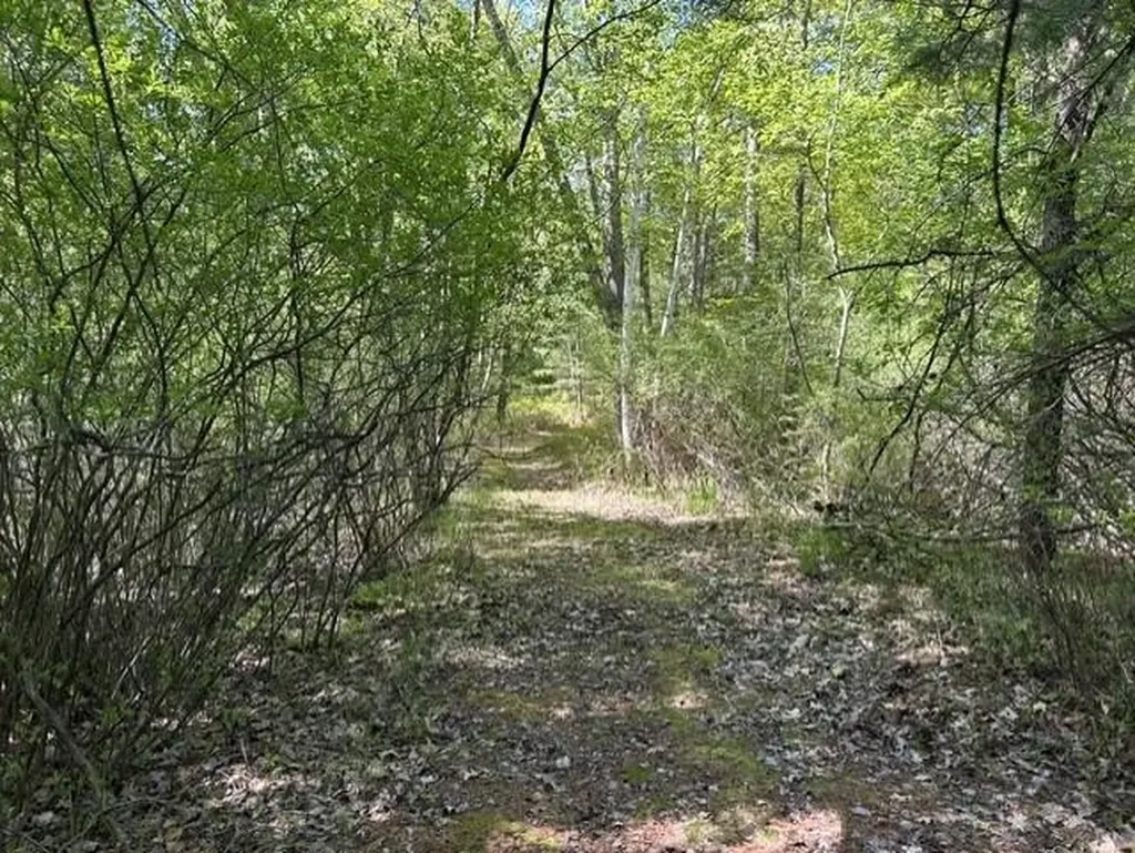 22 S Baldwin Resort Road Baldwin Township MI 48730