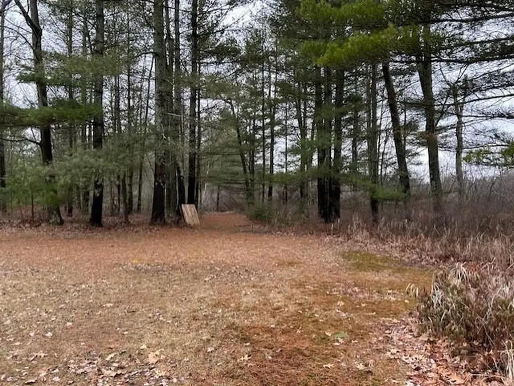 22 S Baldwin Resort Road Baldwin Township MI 48730