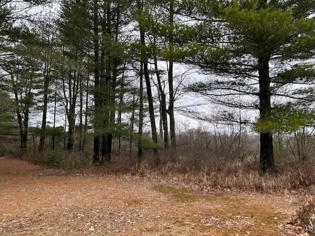 22 S Baldwin Resort Road Baldwin Township MI 48730