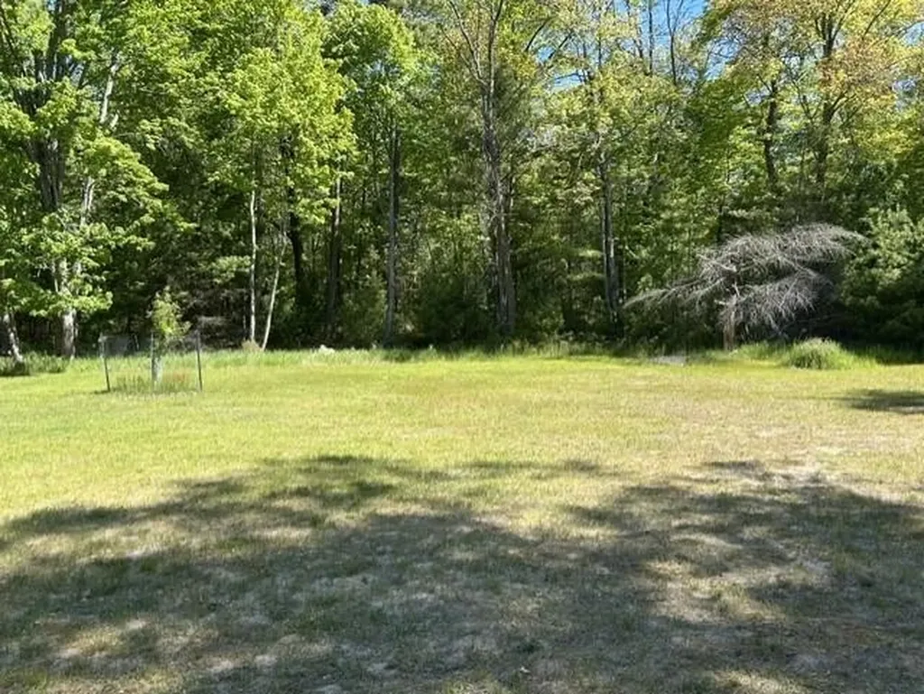 22 S Baldwin Resort Road Baldwin Township MI 48730