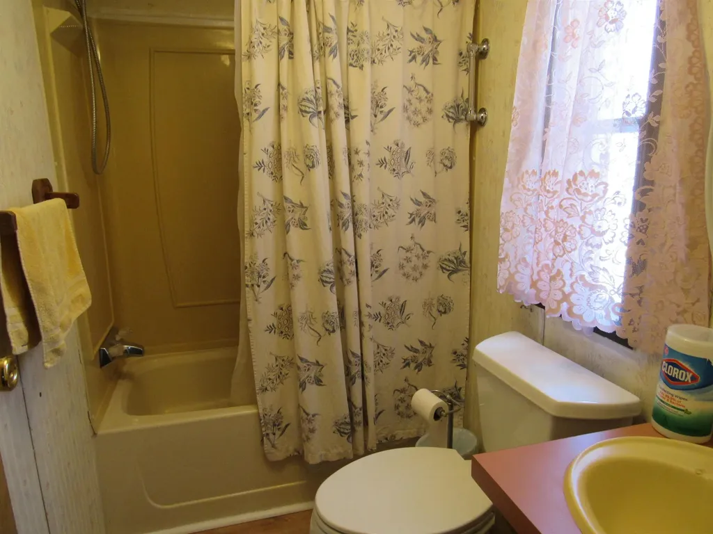 2143 Ruth Street Baldwin Township MI 48730