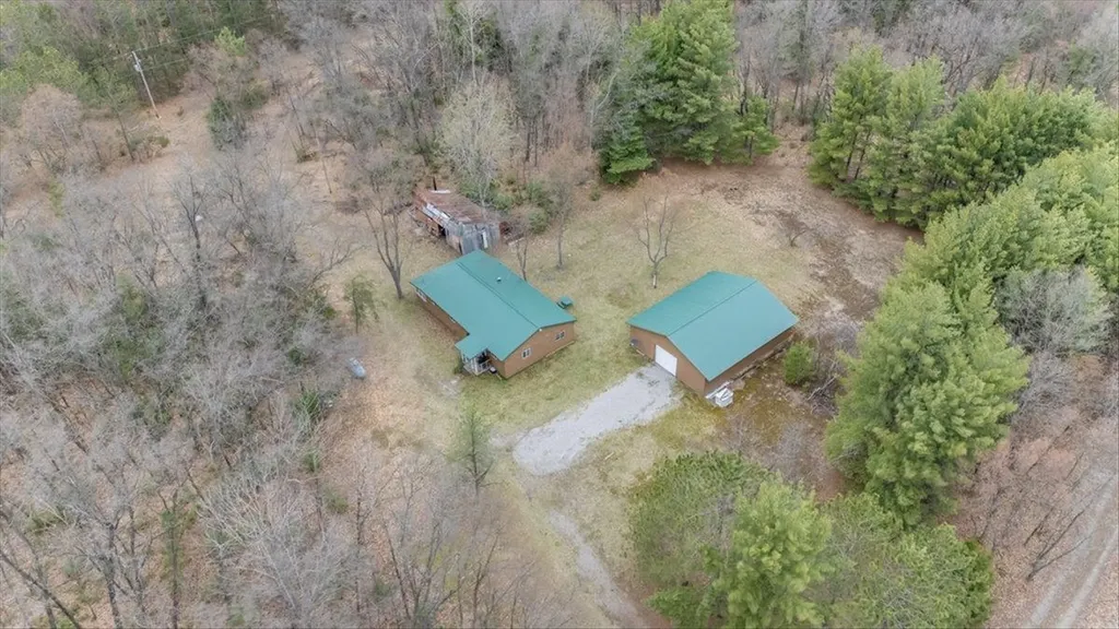7734 Partlo Road Reno Township MI 48770