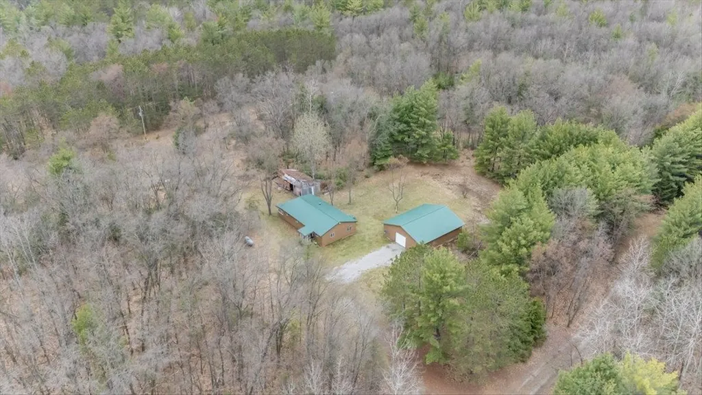 7734 Partlo Road Reno Township MI 48770