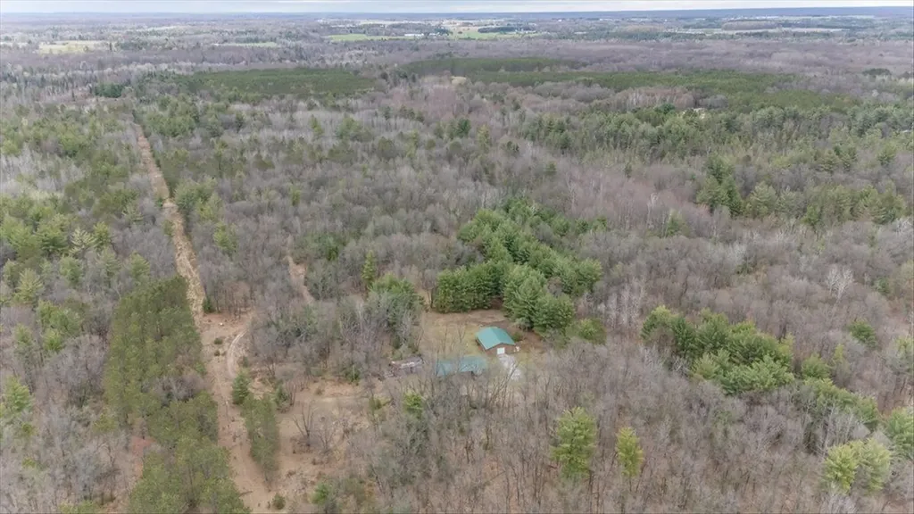 7734 Partlo Road Reno Township MI 48770