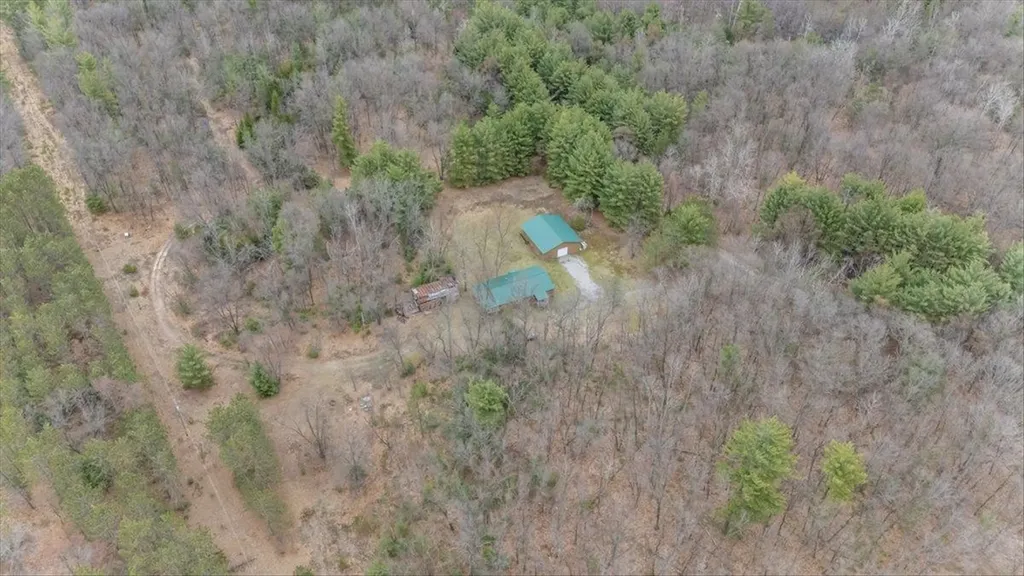 7734 Partlo Road Reno Township MI 48770