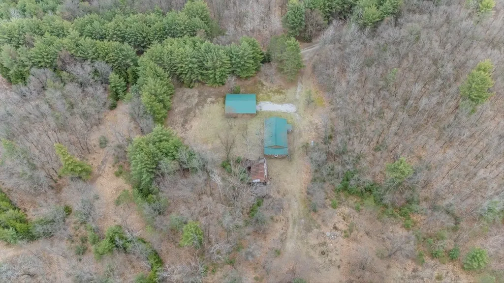 7734 Partlo Road Reno Township MI 48770