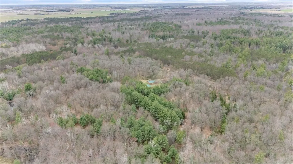 7734 Partlo Road Reno Township MI 48770