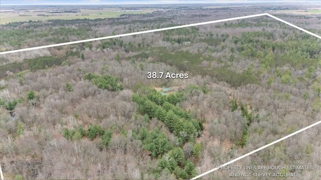 7734 Partlo Road Reno Township MI 48770