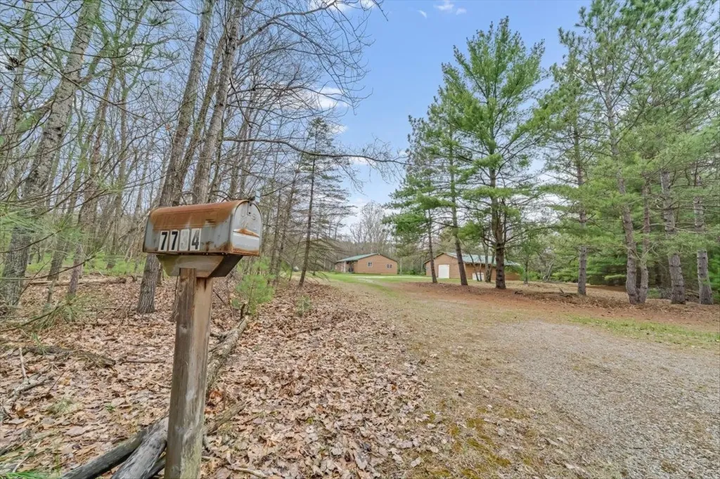 7734 Partlo Road Reno Township MI 48770