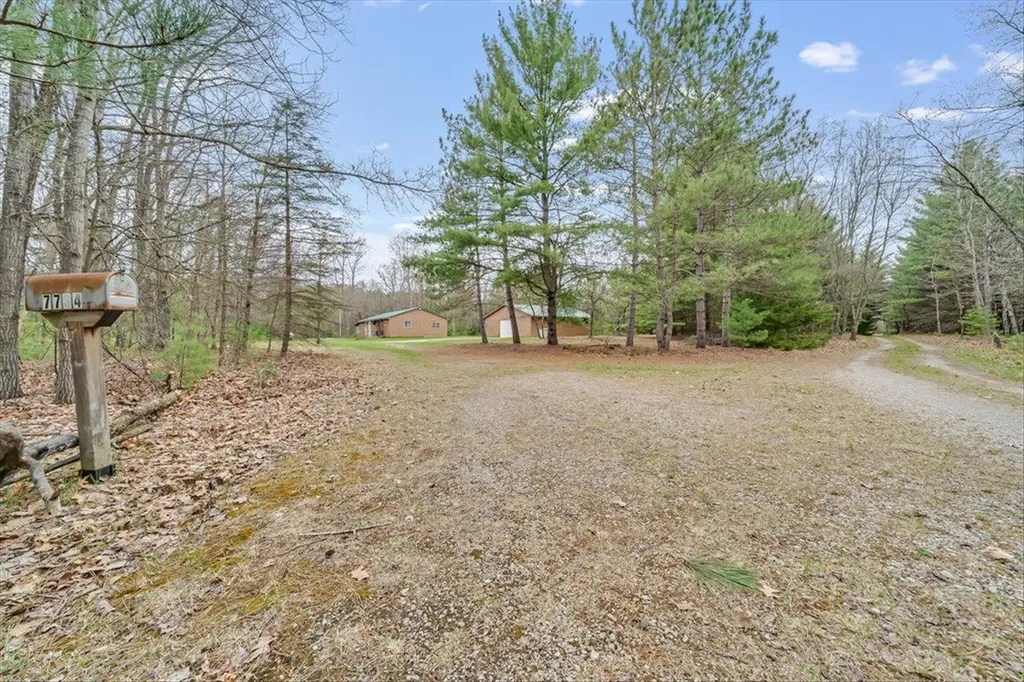 7734 Partlo Road Reno Township MI 48770
