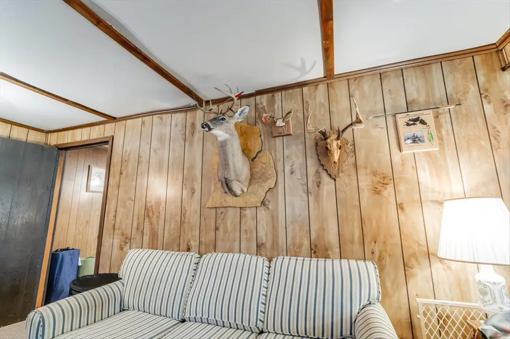 7734 Partlo Road Reno Township MI 48770
