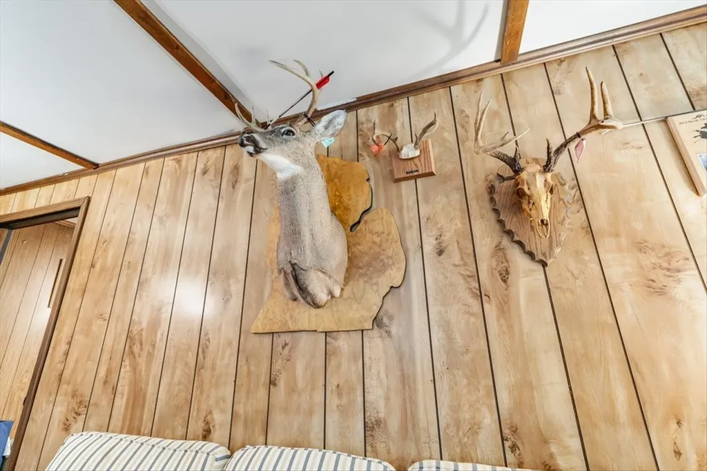 7734 Partlo Road Reno Township MI 48770