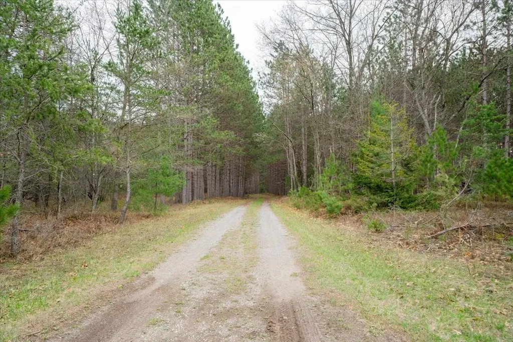 7734 Partlo Road Reno Township MI 48770