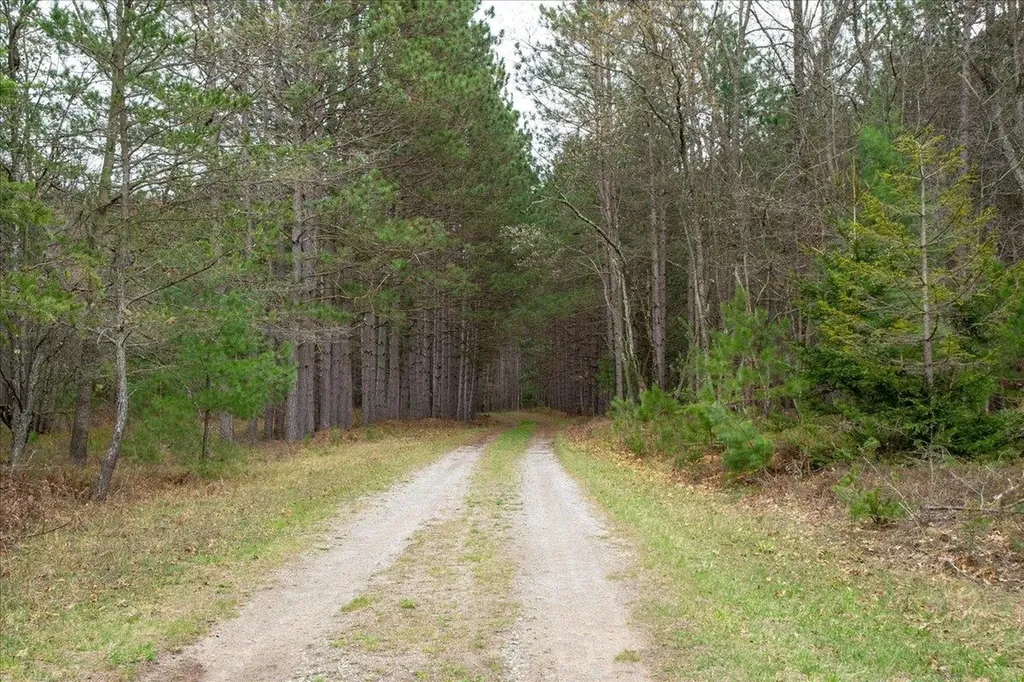 7734 Partlo Road Reno Township MI 48770