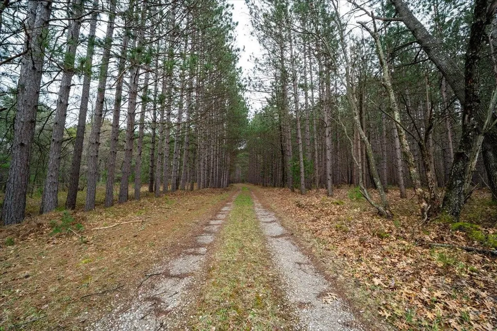 7734 Partlo Road Reno Township MI 48770