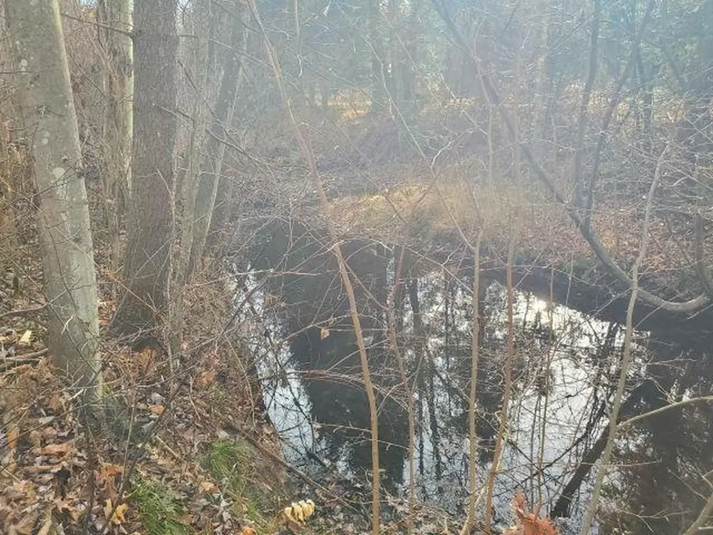 2030 George Street Mills Township MI 48756