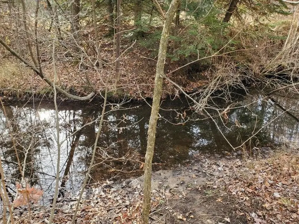 2030 George Street Mills Township MI 48756