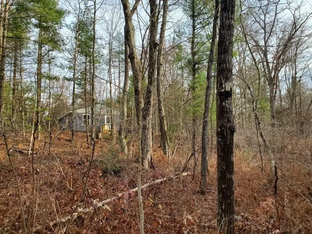 2030 George Street Mills Township MI 48756