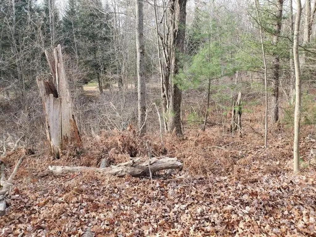 2030 George Street Mills Township MI 48756