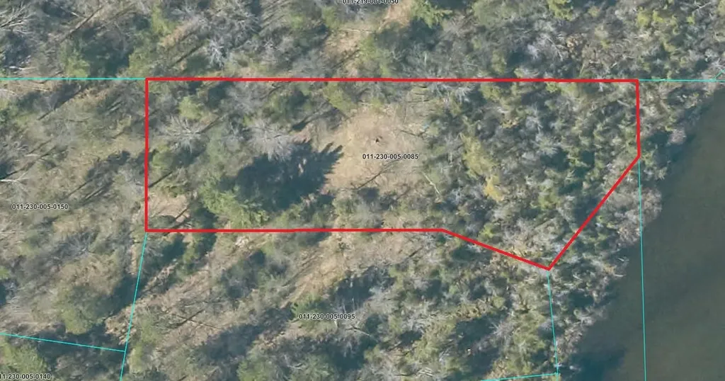 1.24 Acres Snowbowl Road Roscommon Township MI 48629