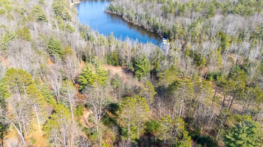 1.24 Acres Snowbowl Road Roscommon Township MI 48629