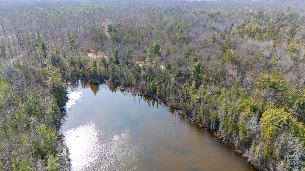 1.24 Acres Snowbowl Road Roscommon Township MI 48629