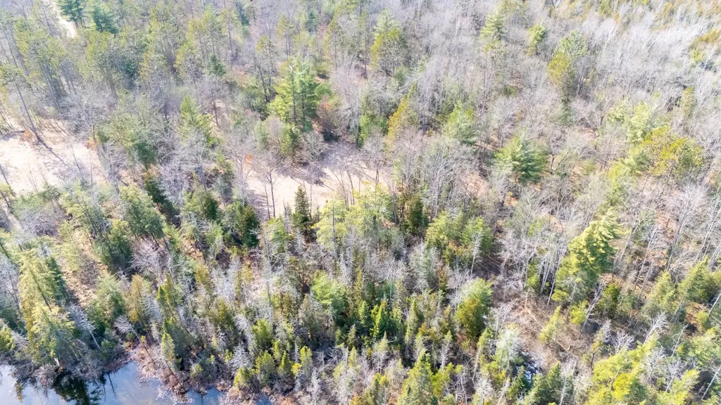 1.24 Acres Snowbowl Road Roscommon Township MI 48629