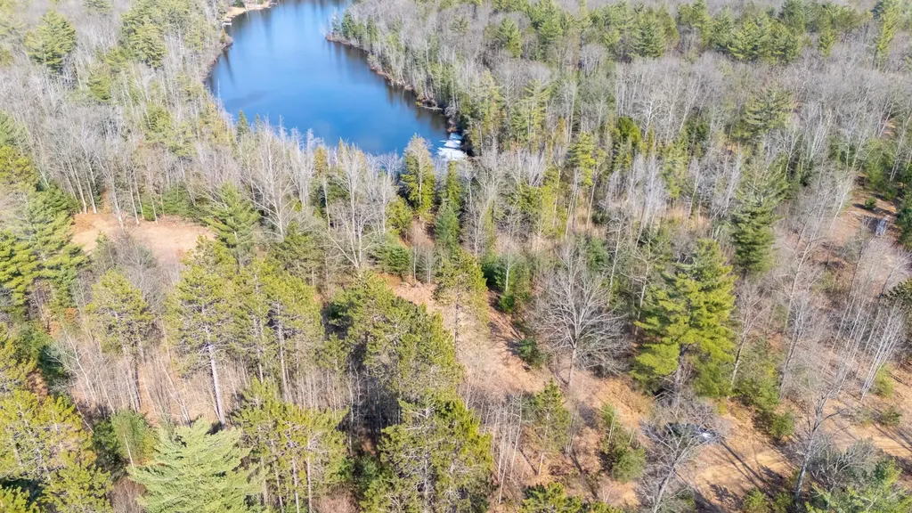 1.24AC Snowbowl Road Roscommon Township MI 48629