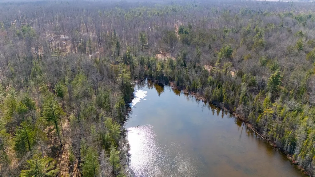 1.24AC Snowbowl Road Roscommon Township MI 48629