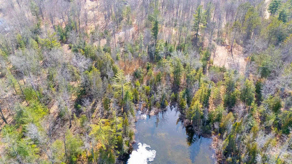 1.24AC Snowbowl Road Roscommon Township MI 48629