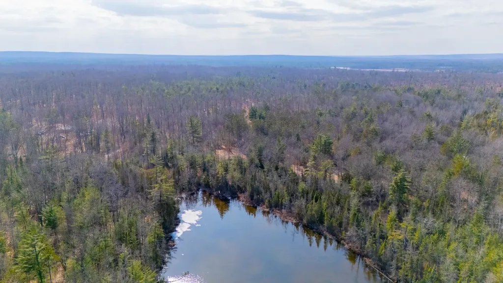 1.12AC Snowbowl Road Roscommon Township MI 48629