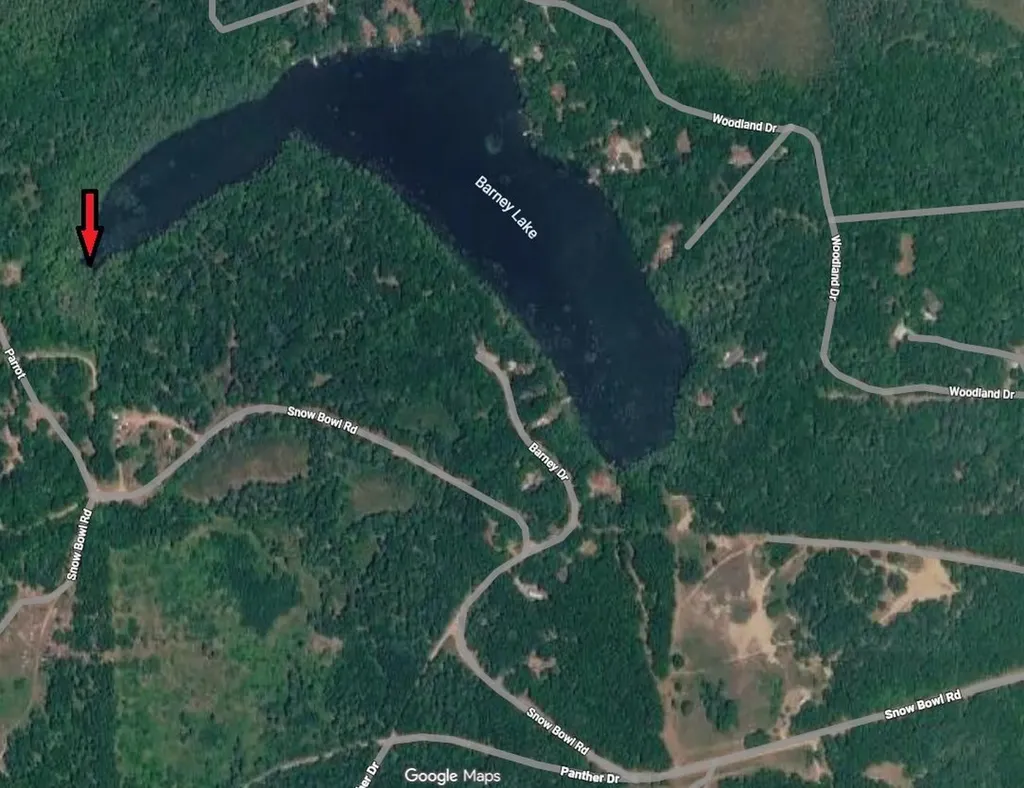 1.12AC Snowbowl Road Roscommon Township MI 48629