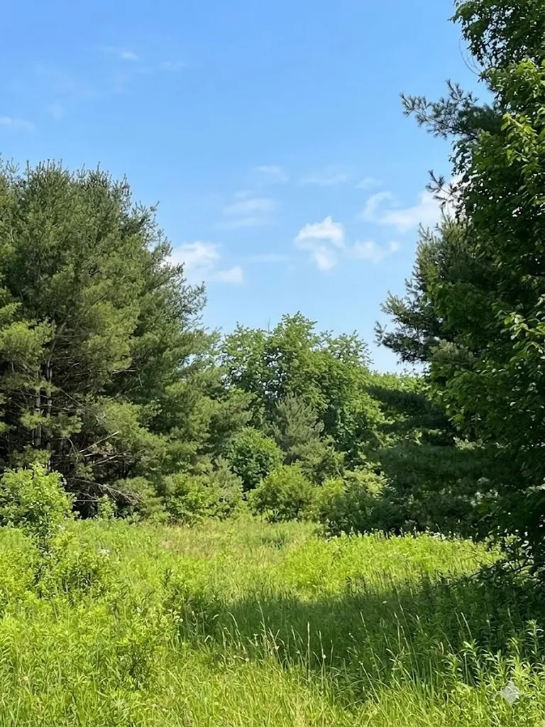 562 Lagrant Road Mason Township MI 48766