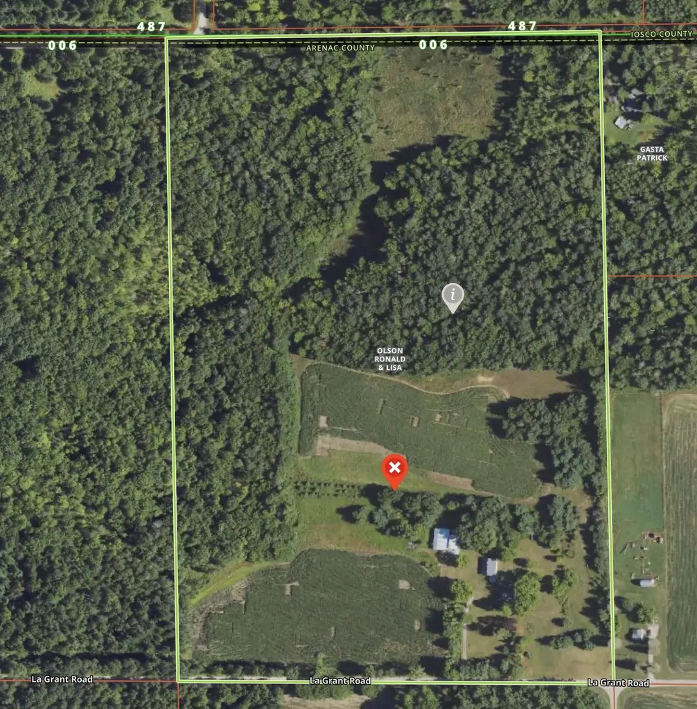 562 Lagrant Road Mason Township MI 48766