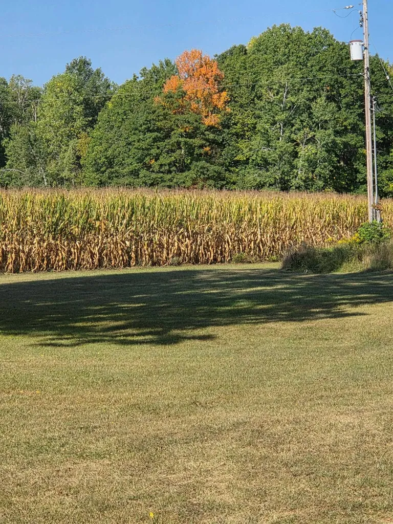 562 Lagrant Road Mason Township MI 48766