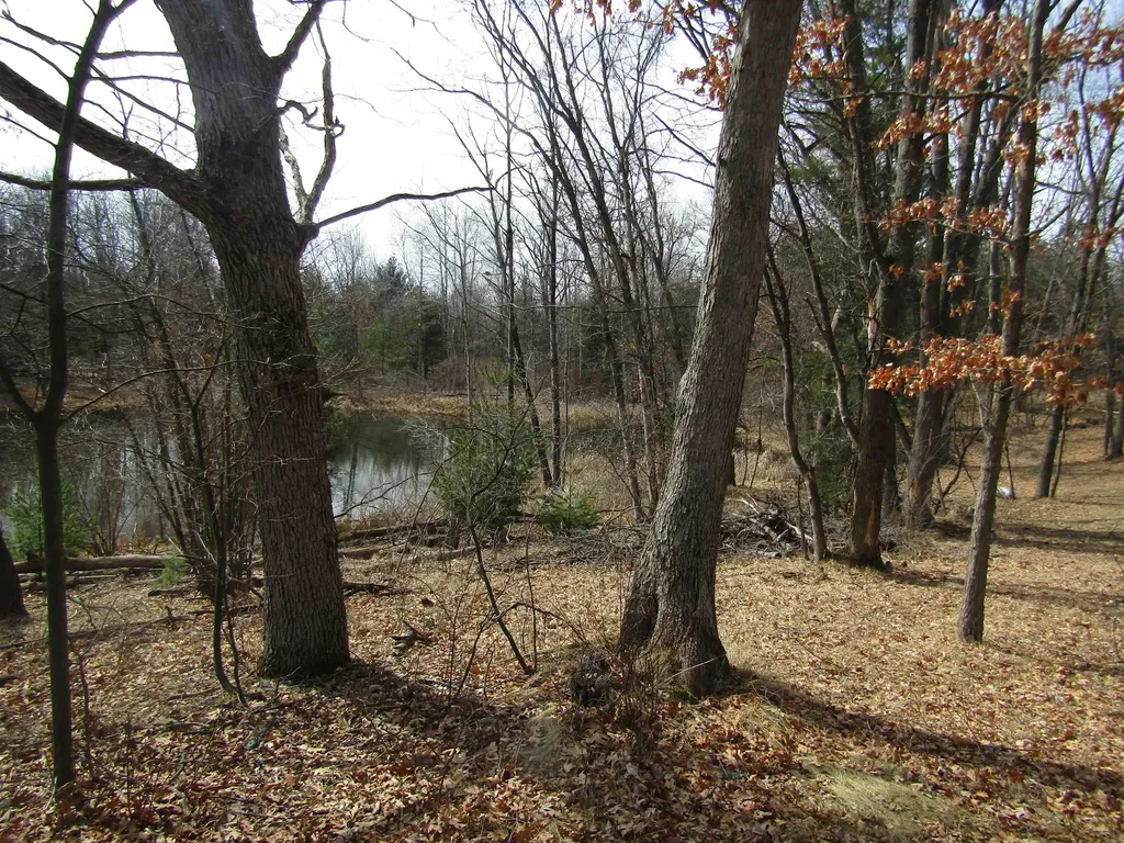 00_VL W Caribou Trail Churchill Township MI 48661