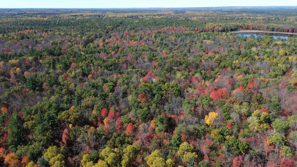 0 Timber Trail Mills Township MI 48756