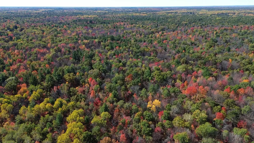 0 Timber Trail Mills Township MI 48756