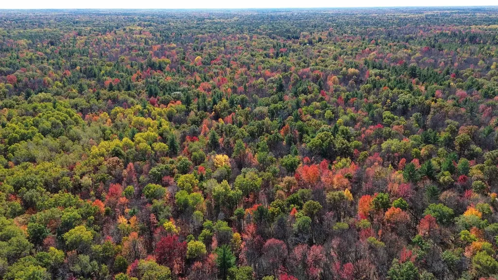 0 Timber Trail Mills Township MI 48756