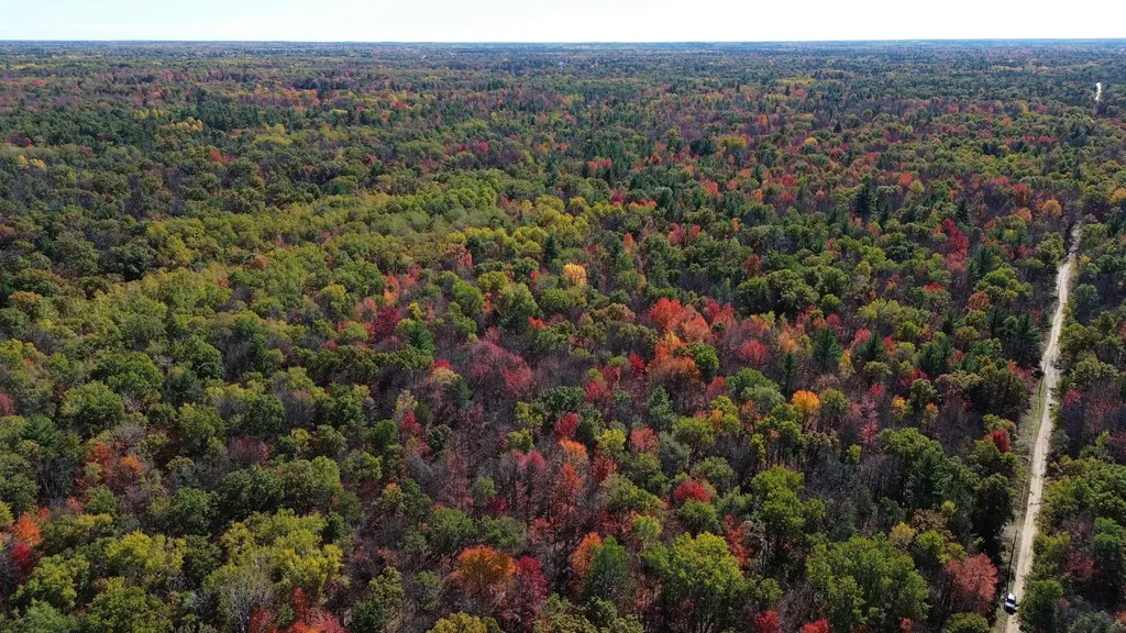 0 Timber Trail Mills Township MI 48756
