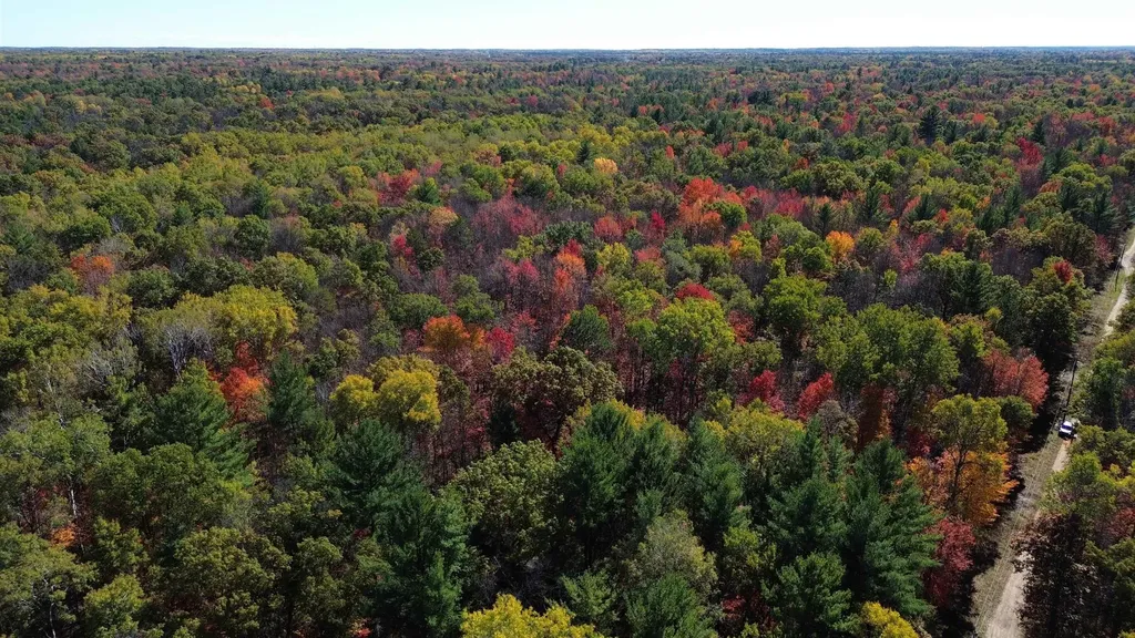 0 Timber Trail Mills Township MI 48756