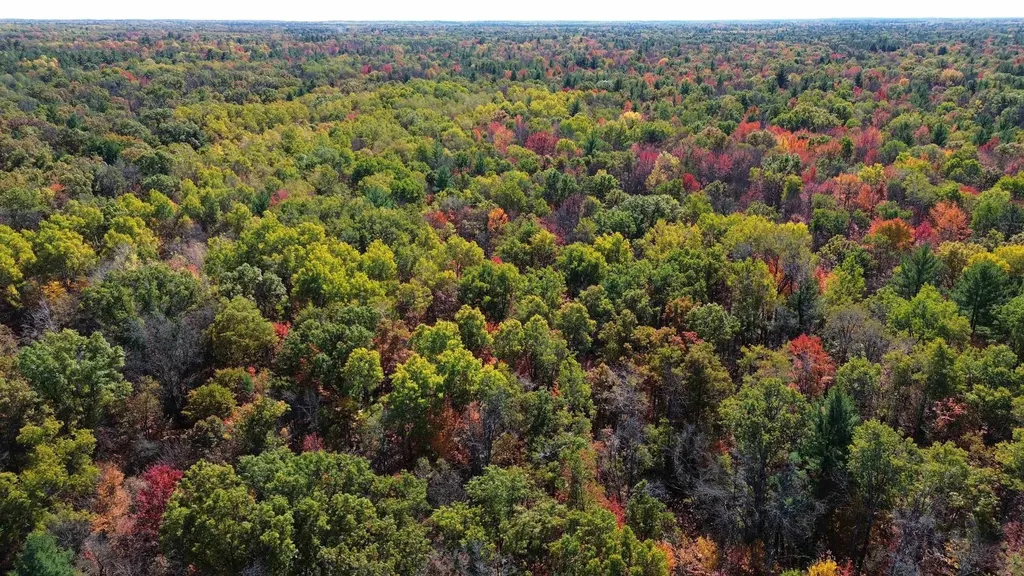 0 Timber Trail Mills Township MI 48756